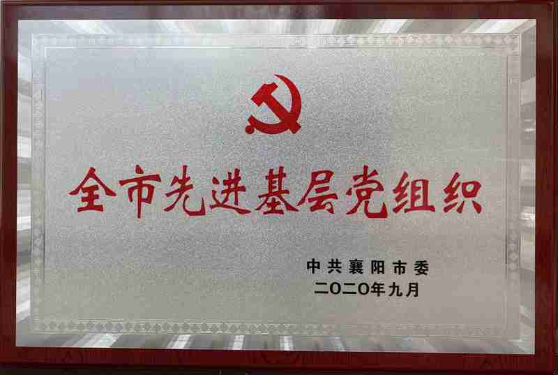 中共襄陽市委授予集團公司全市先進基層黨組織